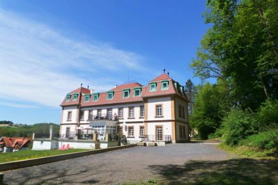 Altbau-Villa in idylischer Lage am Park, Loftartige 3ZI mit Grünblick, PP