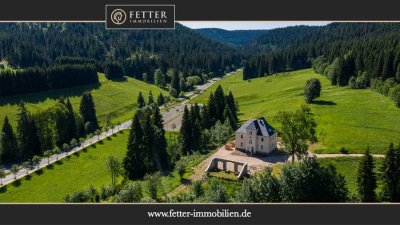 Historisches Villenanwesen im Erzgebirge – Absolute Alleinlage in traumhafter Natur!