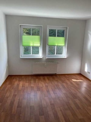 Schöne 2- Raum-Wohnung mit Balkon in Unterweißbach