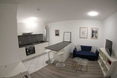 Modernes All-Inclusive Studio-Apartment in Mosbach-Diedeshiem