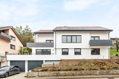 Hochwertig sanierte 4-Zi.-Terrassenwohnung - Garage - Stellplatz