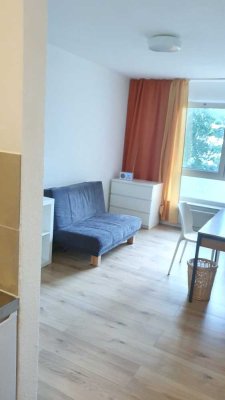 Vollständig renovierte 1-Zimmer-Wohnung mit EBK in Mainz