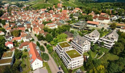 Erstbezug: Moderne 4-Zimmer-Wohnung in Weinsberg, Balkon in Südseite, mit Stellplätzen, ab 01.12.24