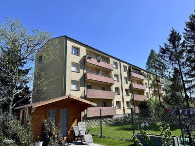 Modernisierte 3-Zimmer Wohnung mit Loggia in Wiener Neudorf