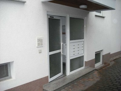 Schöne, helle Appartmentwohnung mit separatem Schlafzimmer in Heidesheim zu vermieten