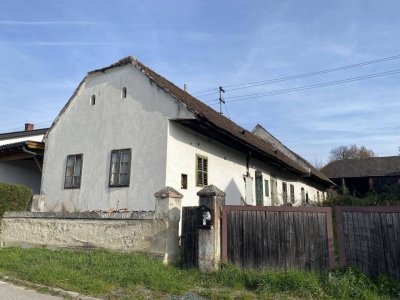 Sanierungsbedürftiger Streckhof mit großem Stadel