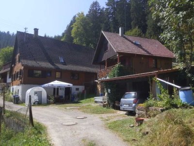 PROVISIONSFREI: Restbauernhof mit Bauernhaus + Ferienhaus + großes Grundstück