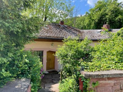 Architektenhaus nahe Neustadt auf herrlichem 2.800 qm Grundstück im Naturpark Pfälzerwald