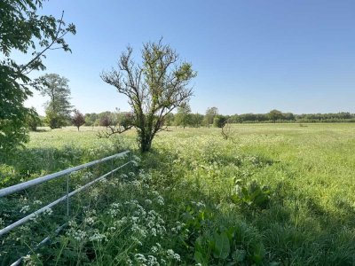 Landpartie | Alleinlage 
Bauernhaus mit ca. 6 Hektar Land