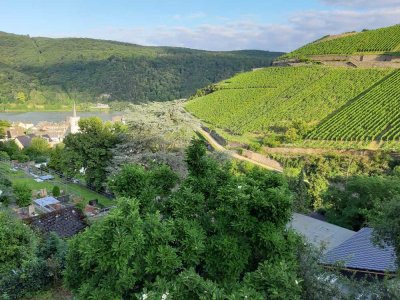 2-Zimmer-Wohnung, EBKüche, Balkon mit Blick auf Weinberge und den Rhein