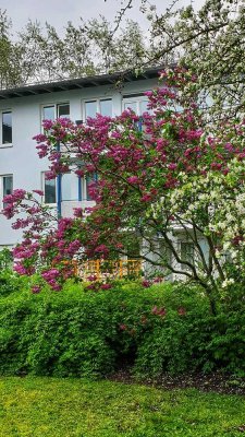 Gepflegte 2-Zimmer Wohnung mit großer (Wohn-) Küche und Terrasse in Dresden, Waldschlösschenareal