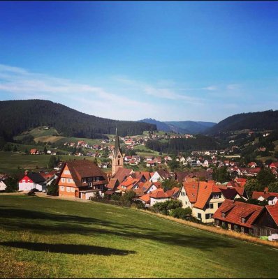 Baiersbronn- Oberdorf- Gartenliebhaber
3-Zimmer-Wohnung mit Terrasse und toller Aussicht