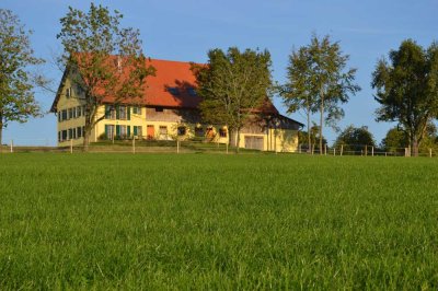 Wunderschöne möblierte Wohnung, herrliche Lage, komplett ausgestattet - Bad Waldsee-Haisterkirch