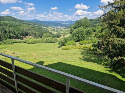 2 Zimmer Wohnung mit Balkon für Pendler, Berufstätige, möbliert.