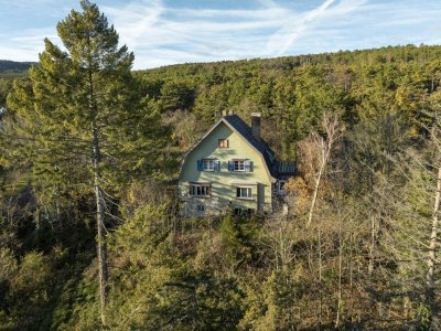 Einzigartige Jahrhundertwende-Villa mit Privatpark und Wald | Blick in alle Himmelsrichtungen | Lichtdurchflutet