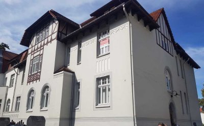 Schöne große Wohnung im Villenviertel Stendals