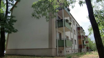 gerade neu renovierte 3-Raum-Wohnung