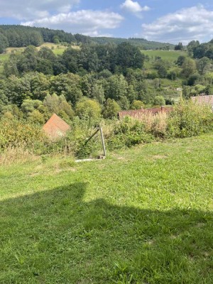 Erstbezug nach Sanierung! Ansprechende 2,5-Zimmer-Wohnung mit großem Garten und tollem Ausblick