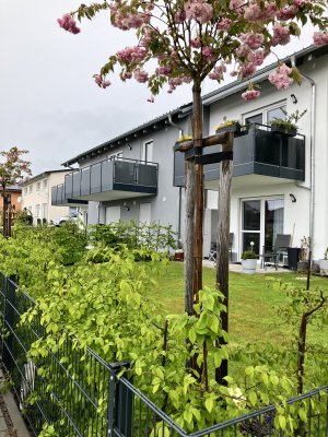 Schöne, behagliche 2-Zimmer-Wohnung mit Balkon