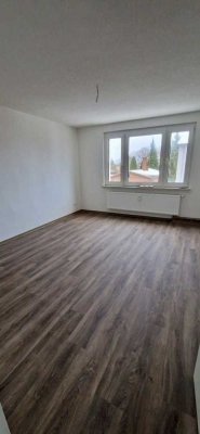 Neu renovierte, helle 3-Zimmer-Wohnung in Goldberg