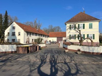 Charmante 4-Zimmer-Wohnung in Hofreite in Bad Vilbel - Massenheim