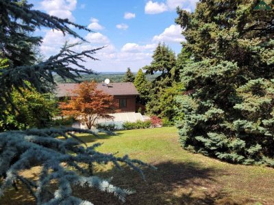 PROVISIONSFREI - TRAUMLAGE MIT POOL AM HUNDSHEIMER BERG - FERNBLICK