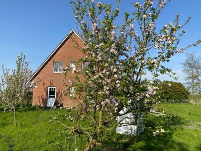 Modernes Niedrig-Energie-Haus KfW 40 Standard mit unverbautem Blick in Welt- provisionsfrei