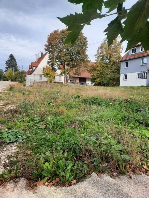 3 Zimmerwohnung mit Balkon - AUFZUG !  * provisionsfrei *