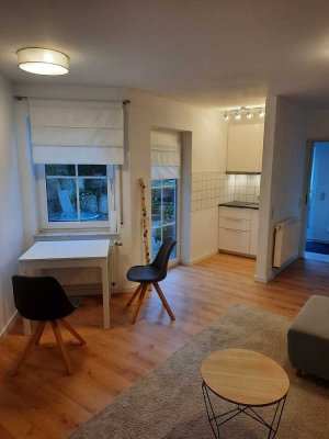 2,5 Zimmer Wohnung möbliert, mit Kochnische und Terrasse