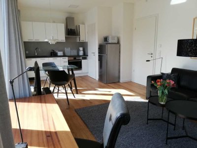 Für Single oder Paar: Möbl. und renovierte Penthouse-Wohnung mit geh. Ausstattung, Balkon und EBK