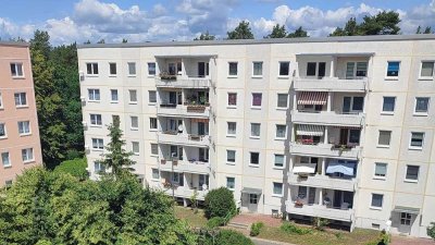 Große 2-Raumwohnung mit Wohnküche und Balkon