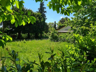 "TOP-Modern wohnen mit großem Sonnengarten in Echterdingen" Attraktive DHH in ruhiger Lage