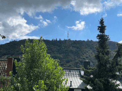 Wohnen mit idyllischem Ausblick: - 4 Zimmer-Wohnung in Bad Münster am Stein