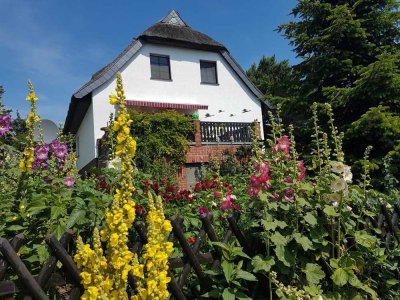 Inselfeeling pur – idyllisches Reetdachhaus mit zwei zusätzlichen Ferienwohnungen und  Nebengelass z