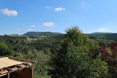 Modernisierte 2-Zimmer-Wohnung mit Terrasse und Einbauküche in Wißgoldingen