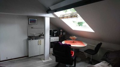 Modernisierte Wohnung mit einem Zimmer und EBK in Duisburg