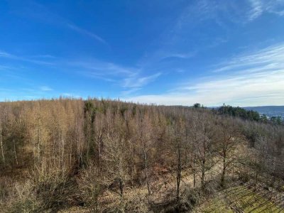 2-ZKB Wohnung am Waldrand gelegen mit Blick auf den Wald