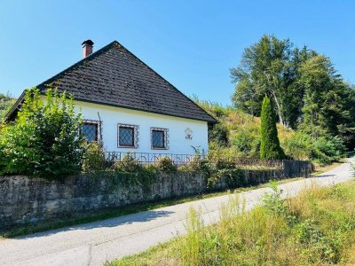 TRAUMHAFTE ALLEINLAGE mit ca. 1.000 m² Bauland - ca. 1.670 m² Grün- &amp; Waldflächen.