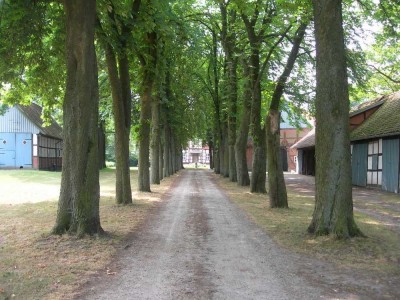 Denkmalgeschütztes Fachwerkhaus in Wienhausen-Oppershausen Wienhausen