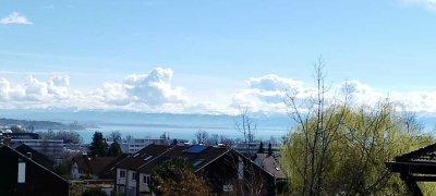 Top gepflegte Maisonette Ferienwohnung in Immenstaad am Bodensee