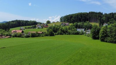 Hallwang mit bester Anbindung: 3-Zi.-Eckwohnung mit großem Balkon