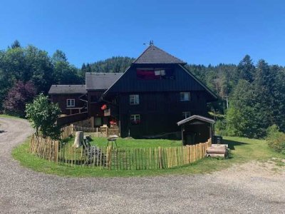 Landhaus, ehemaliges Bauernhaus mit 3 separaten Wohnungen