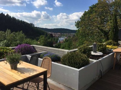 Sonnige Terrassenwohnung im Penthouse Stil - provisionsfrei ohne Makler von privat