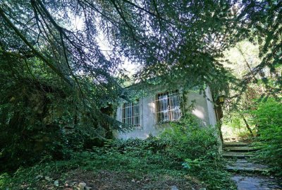 Sanierungsbedürftiges Jahrhundertwendehaus mit Grünlandanteil im Irenental