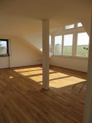 Vollständig renovierte 4-Zimmer Dachgeschosswohnung mit Dachterrasse und  Einbauküche