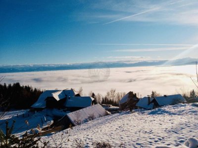 Baugrundstück inklusive Haus in Top Lage