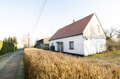 Natur pur - sanierungsbedürftiges EFH mit großem Grundstück und Nebengelass