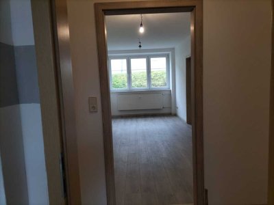 Freundliche und vollständig renovierte 1,5-Zimmer-Souterrain-Wohnung in Großenehrich