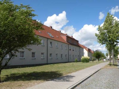 Erdgeschosswohnung im Tribseer!