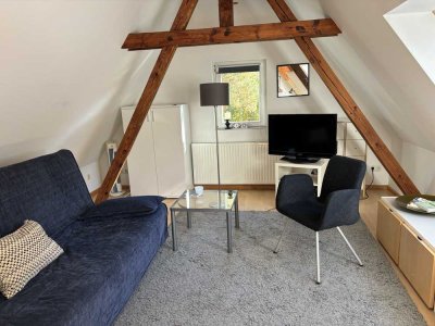 Vollständig renovierte 1-Zimmer-Wohnung mit Einbauküche in Stahnsdorf